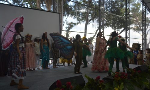 dsc 0019