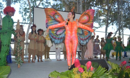 dsc 0062