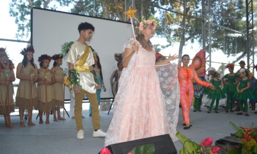 dsc 0071
