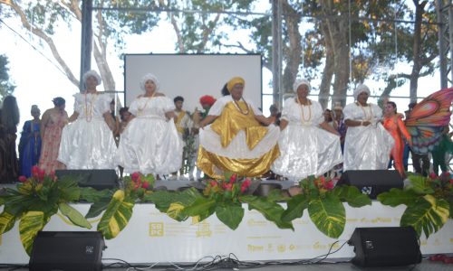 dsc 0082